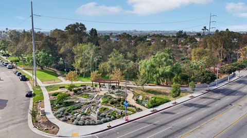 A street view of a residential area with a roundabout and trees.