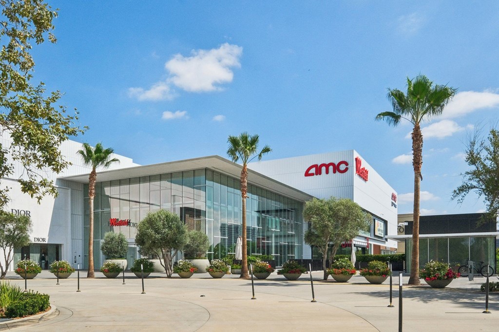 AMC movie theater with palm trees in front.