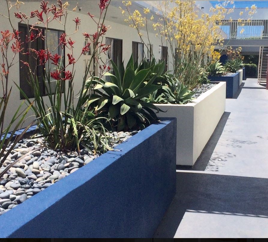 Chadron Apartments, 13622 Chadron Avenue, Hawthorne, CA RentCafe