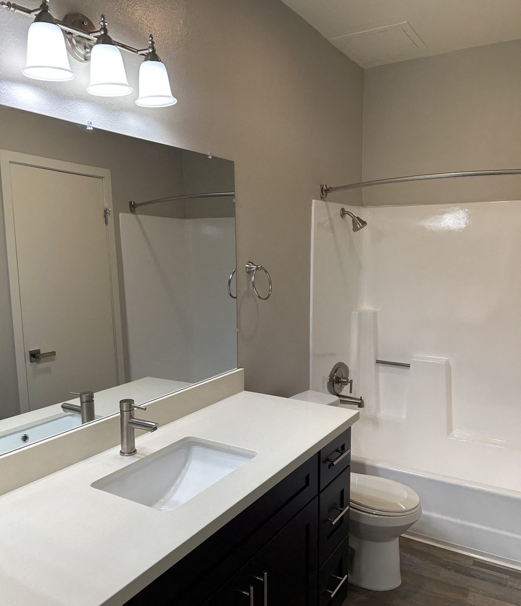 a bathroom with a sink and a mirror and a toilet