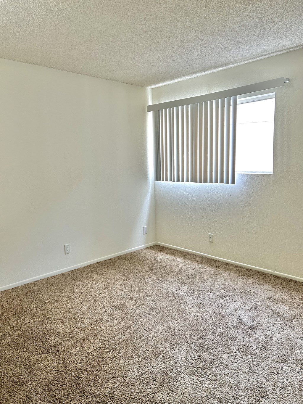 an empty living room with a window and carpet
