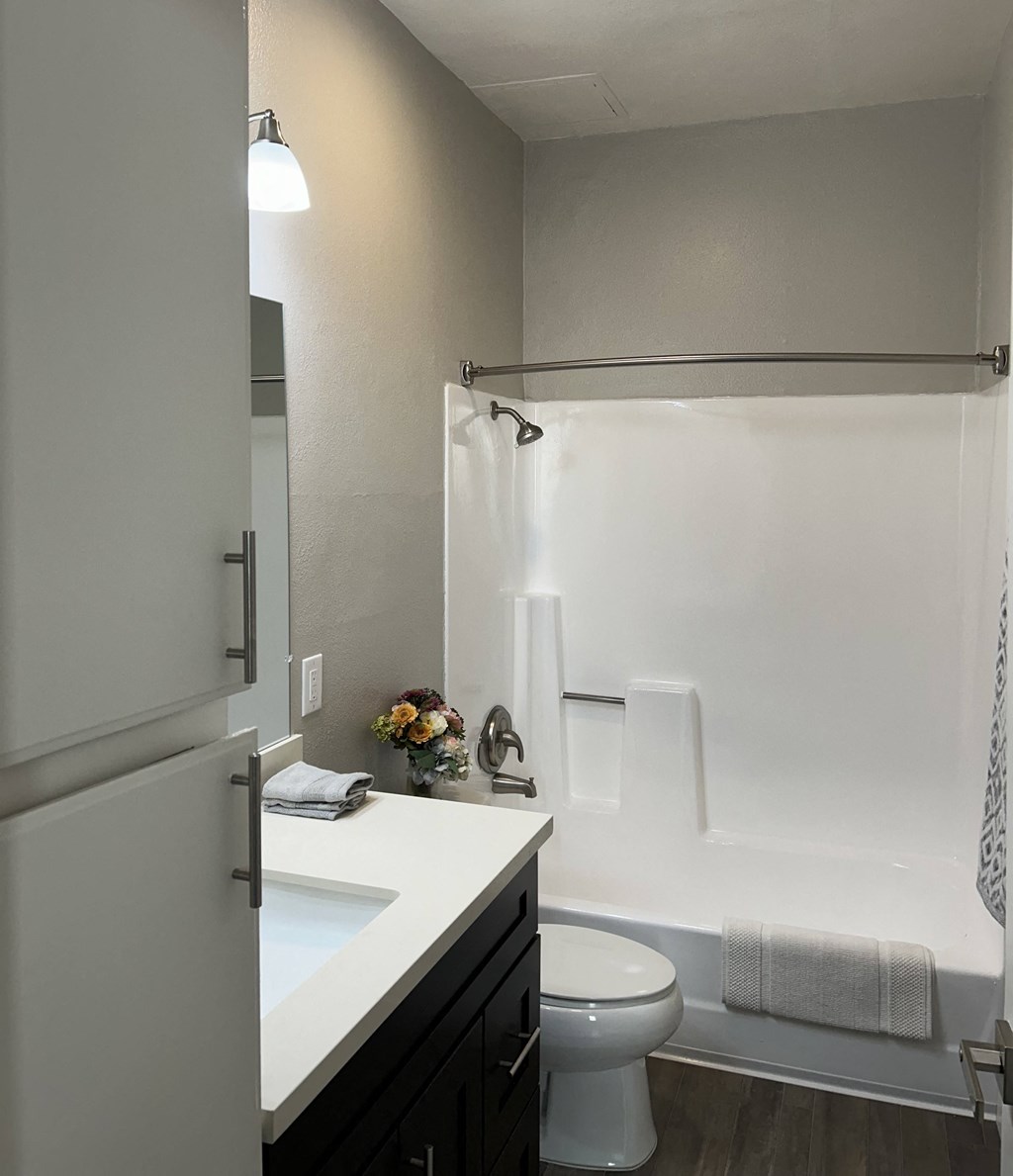 a bathroom with a shower and a sink and a toilet