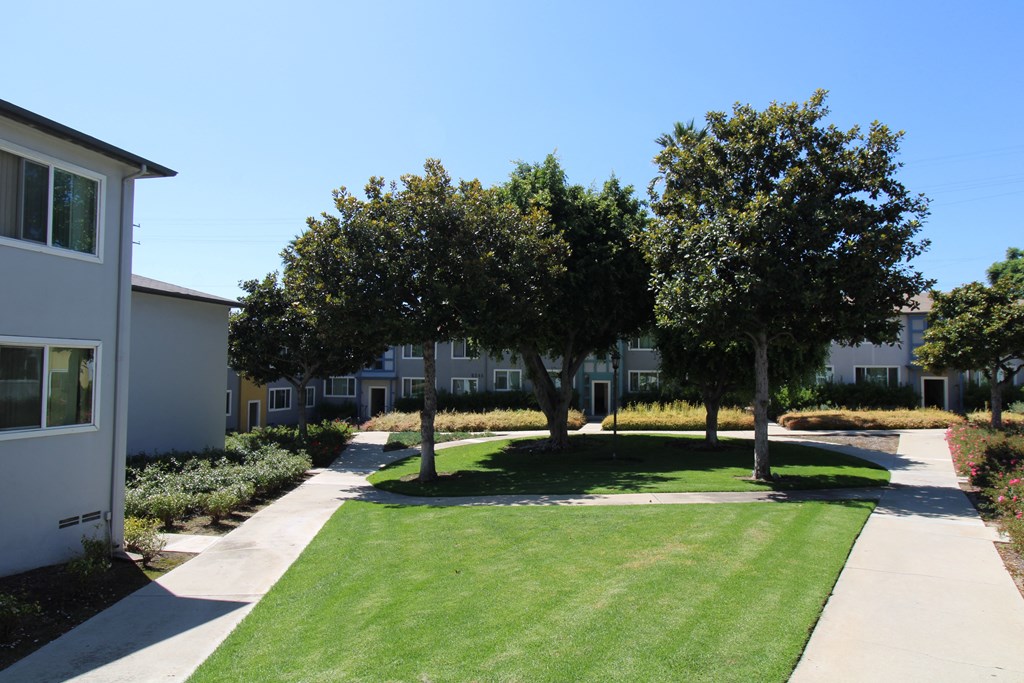 a grassy area with trees in the middle of it