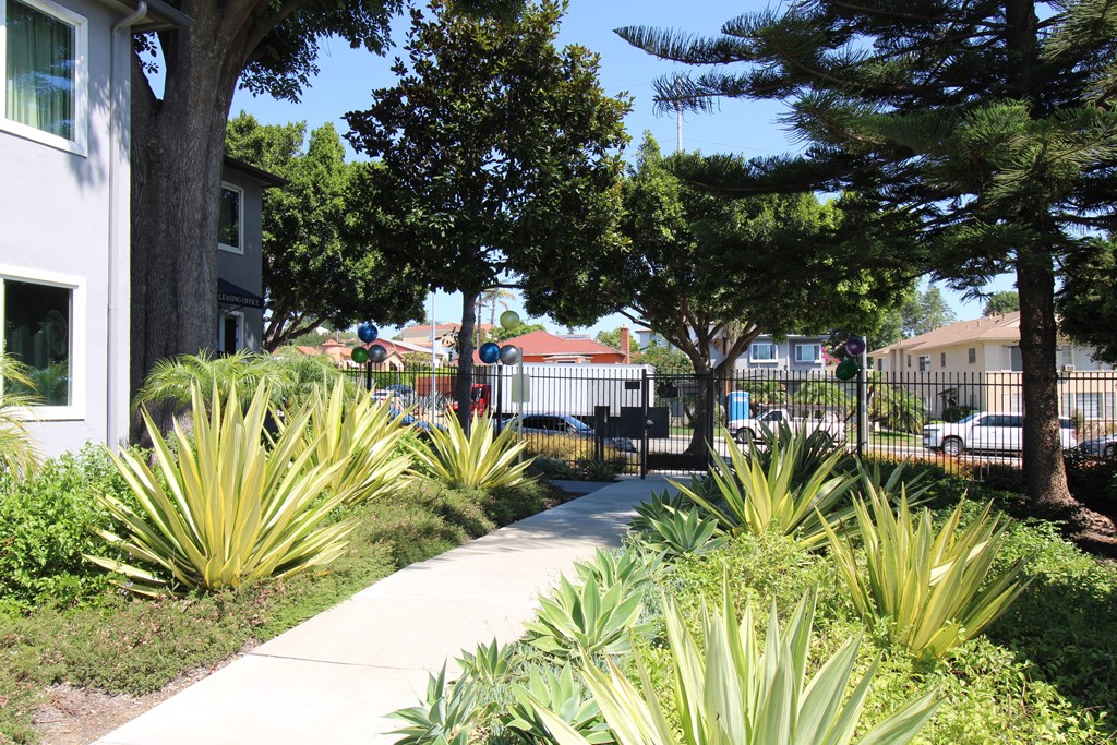 a sidewalk with trees and houses in the background