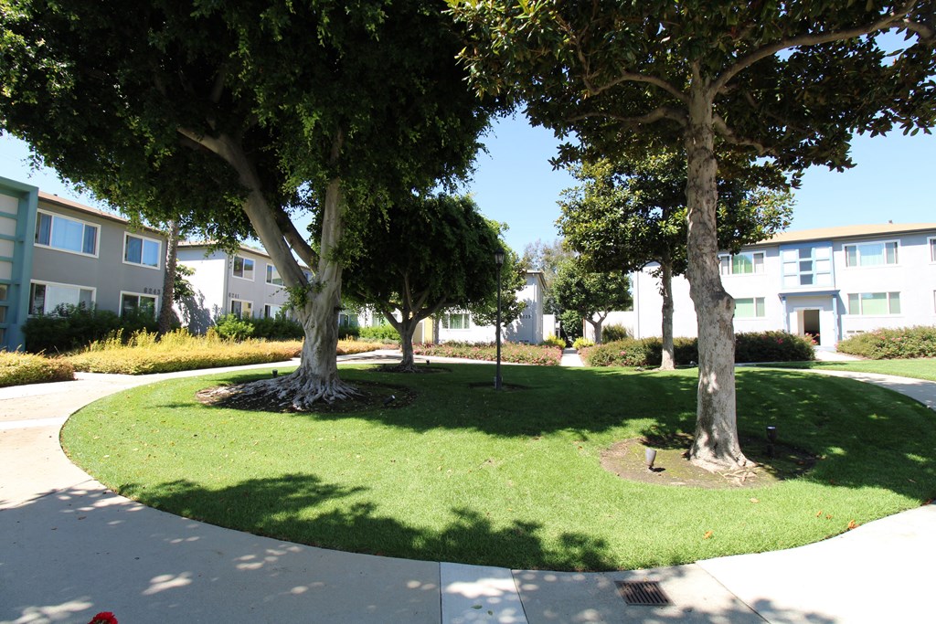 a grassy area with trees and buildings in the background