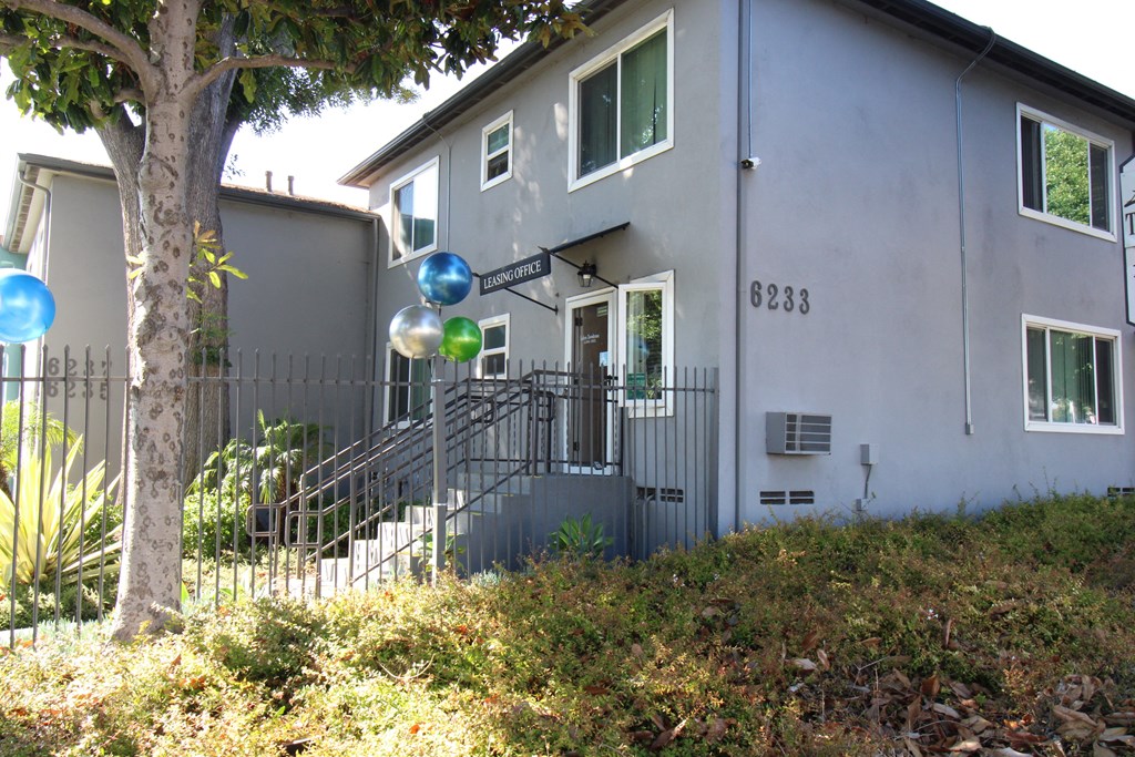 an apartment building with a tree in front of it