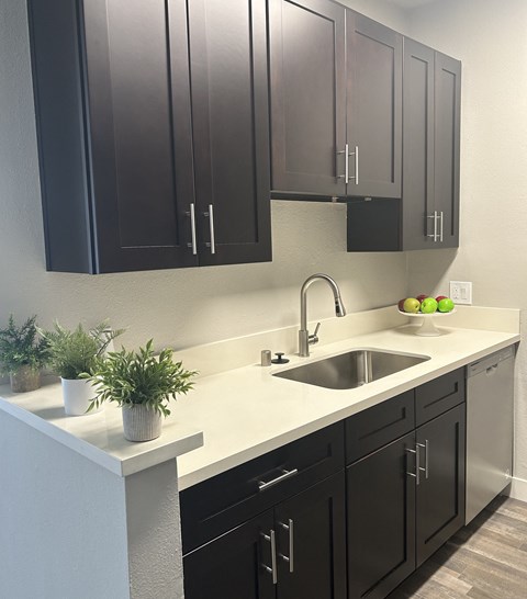 A kitchen with black cabinets and a white countertop.