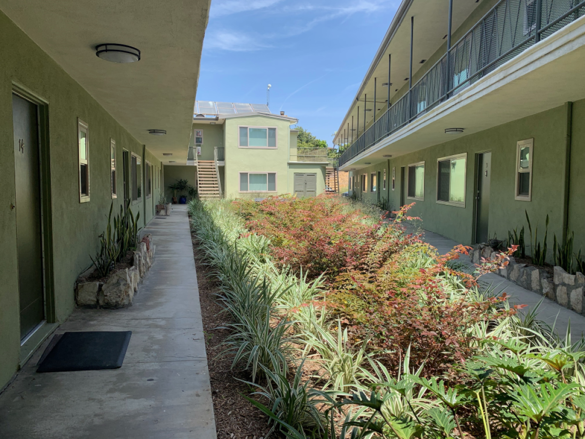 Courtyard landscaping