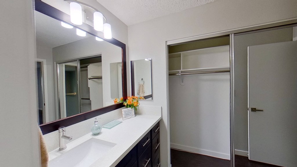 a bathroom with a sink and a mirror and a shower
