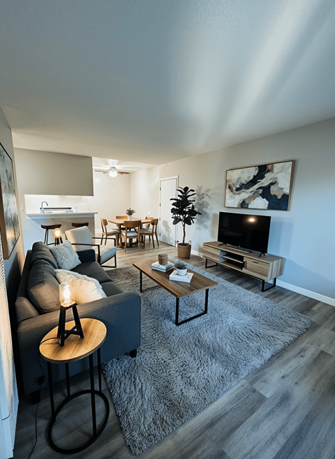 A living room with a grey couch, a wooden coffee table, and a television.
