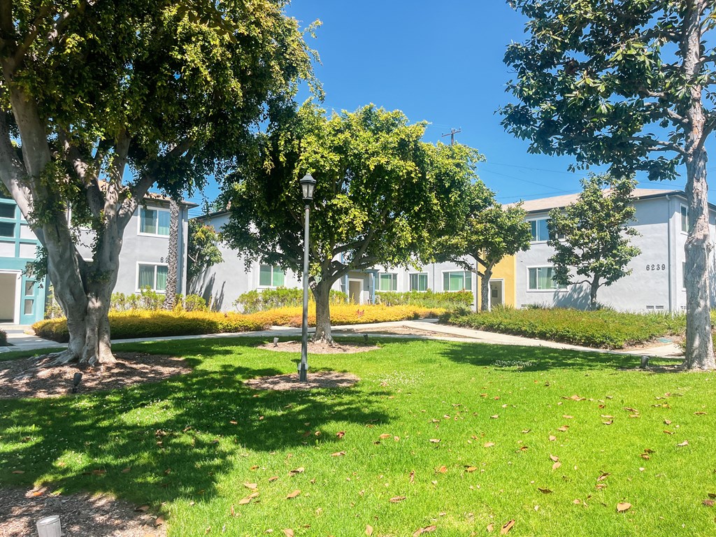 a park with grass and trees in front of houses