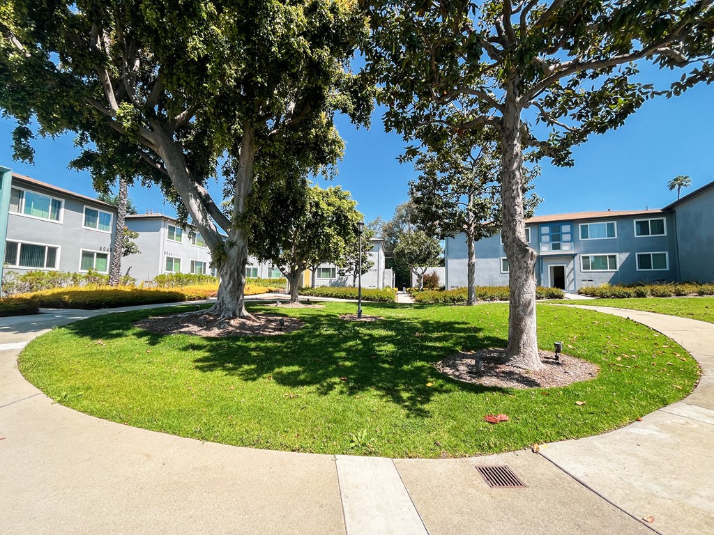 a circle of grass with trees in front of apartment buildings