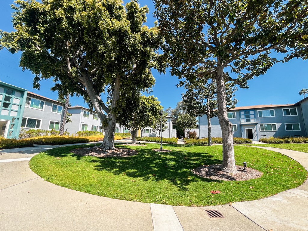 a circle of grass with trees in front of apartment buildings