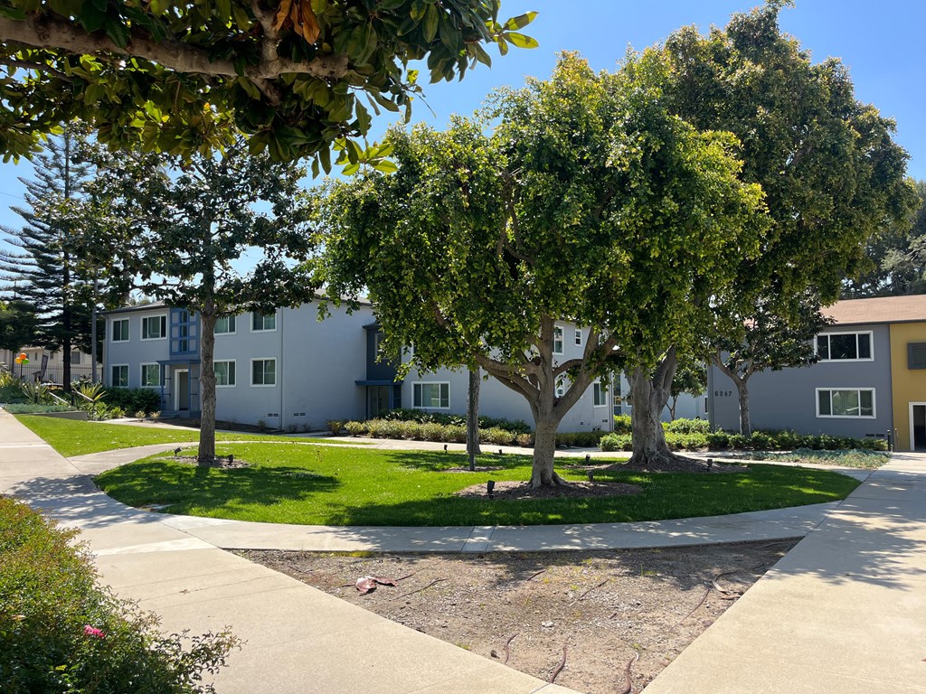 a park with trees in front of an apartment building
