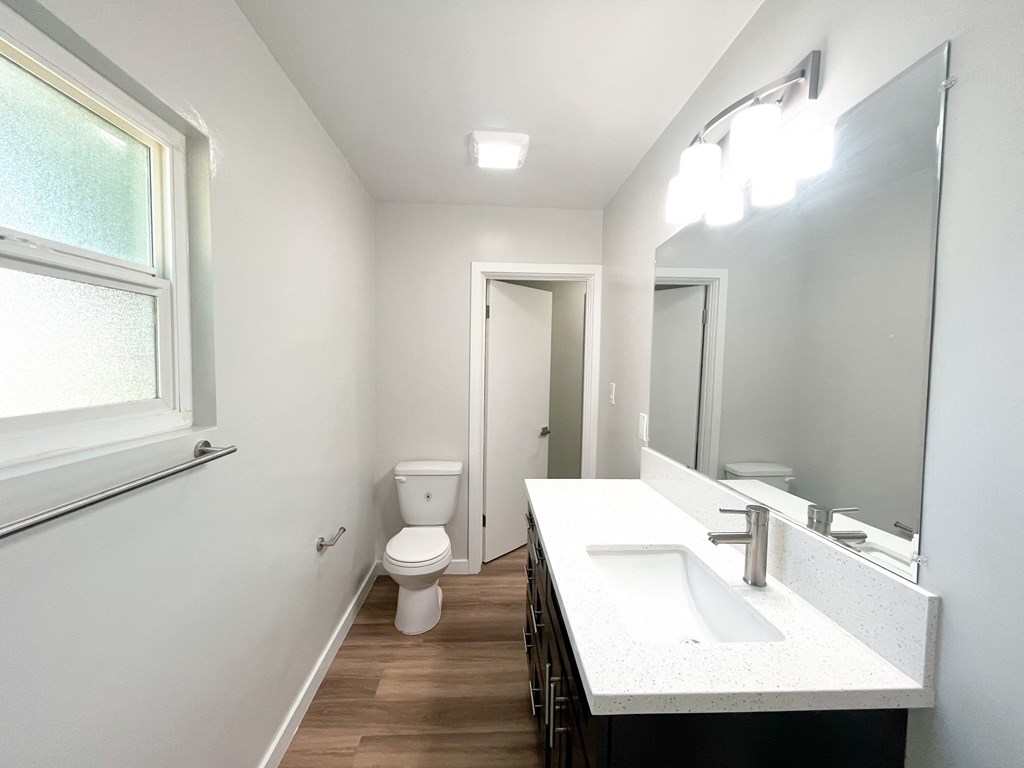 a bathroom with a sink and a mirror and a toilet