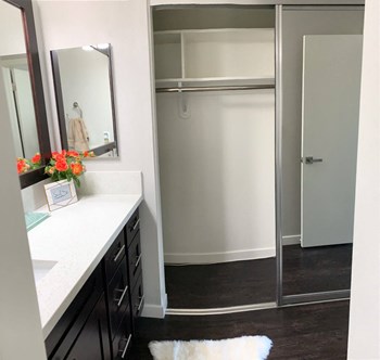 Closets - Photo Gallery 7