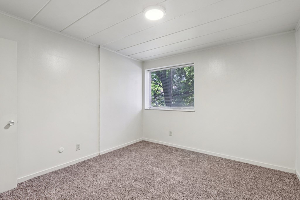 A room with a window and a carpeted floor.