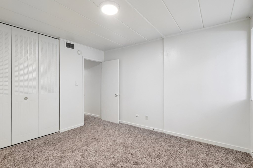A white room with a carpeted floor and a closet with white doors.