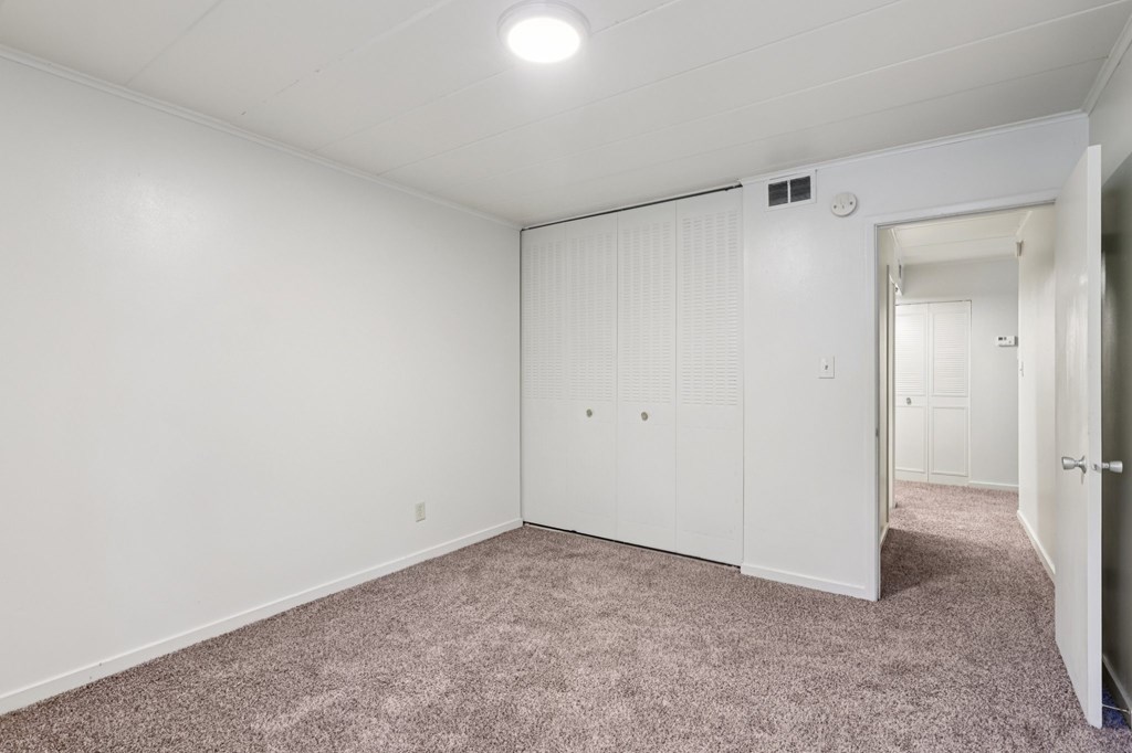 A white room with a carpeted floor and a door on the right.