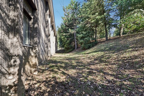 A tree-lined path leads away from a building.