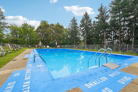 A blue pool with the words "Shalom Way" written on it.