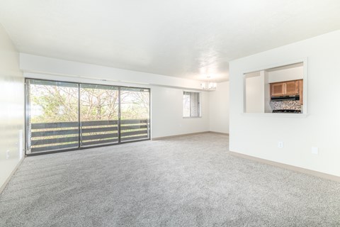 A spacious room with grey carpet and a sliding glass door leading to a balcony.
