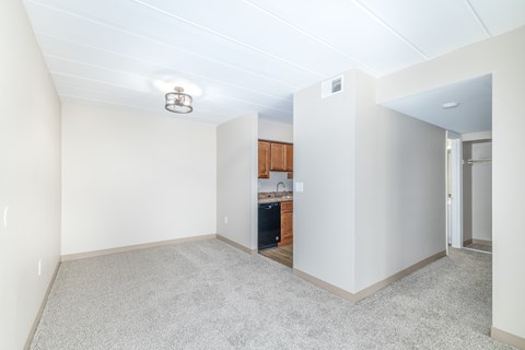 A room with a kitchenette in the background.