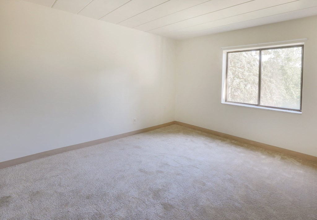 A room with a window and carpeted floor.