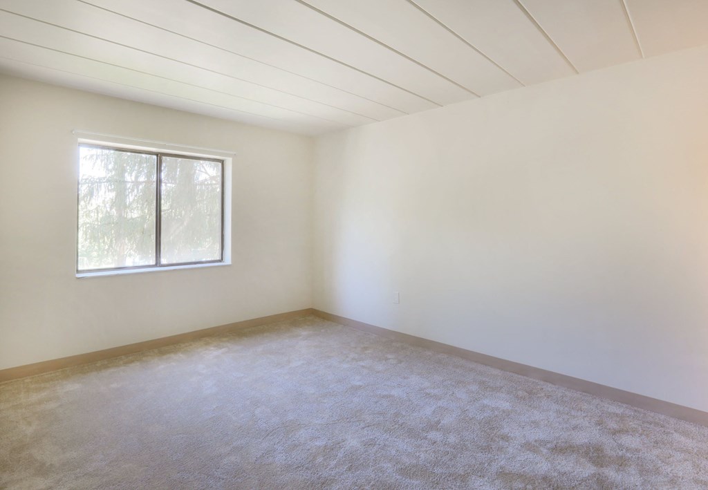 Empty room with a window and carpeted floor.