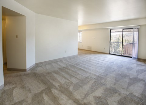 A large, empty room with a carpeted floor and a sliding glass door.