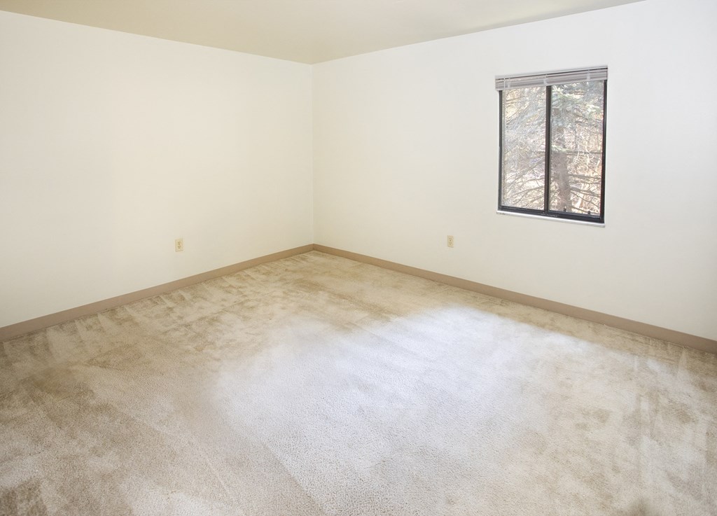 A room with a window and a carpet.