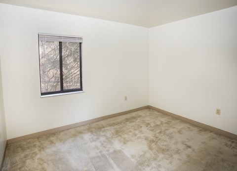 A room with a window and a carpeted floor.