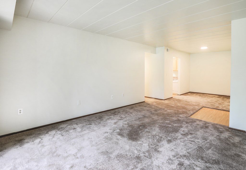 A room with a grey carpet and white walls.