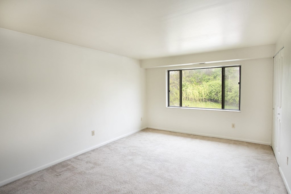 A room with a window and a carpeted floor.