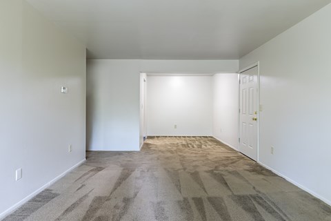 A room with a carpeted floor and two doors.