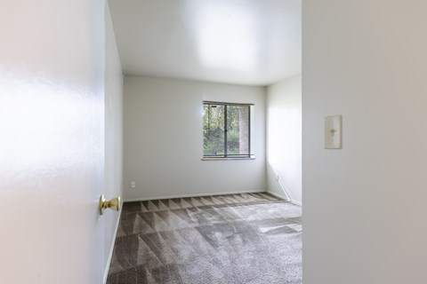 A room with a carpeted floor and a window with blinds.