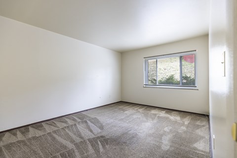 A room with a carpeted floor and a window showing a garden outside.