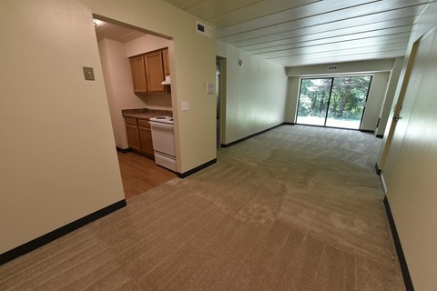 A room with a carpeted floor and a kitchen area in the background.
