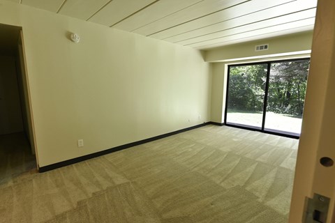 A room with a carpeted floor and a sliding glass door leading outside.