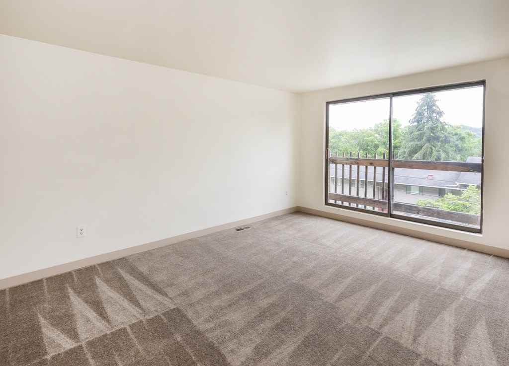 A room with a large carpet and a window overlooking a parking lot.