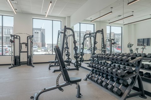 A gym with a variety of equipment including treadmills, weights, and exercise machines.