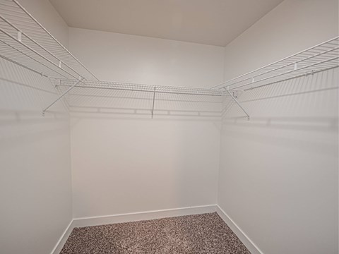Empty white closet with shelves and carpeted floor.