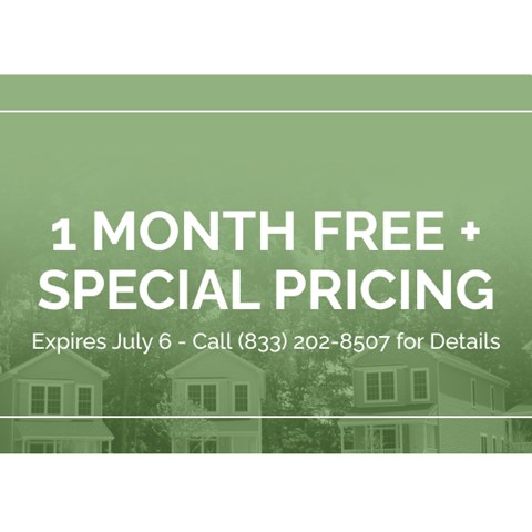 A promotional image offering a free month and special pricing on a phone number.