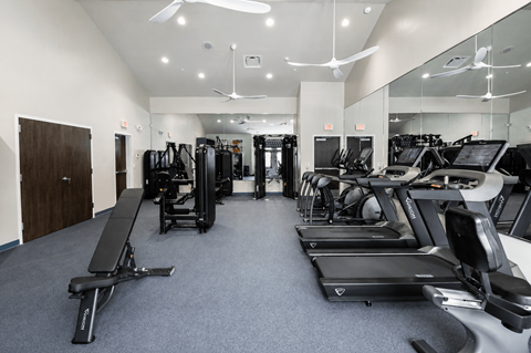 A gym with treadmills, weights, and exercise equipment.