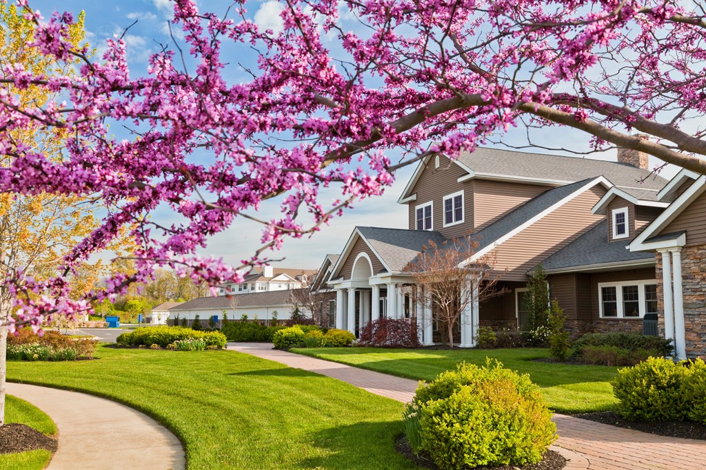a house with a flowering tree in front of it