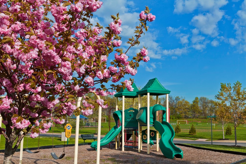 a playground with a tree with pink flowers