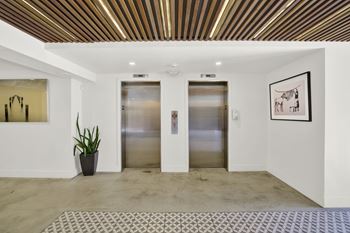Two elevators in a white hall with a plant and picture on the wall.