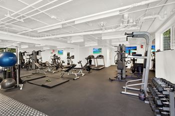 A gym with a variety of equipment including a treadmill, weights and a rowing machine.