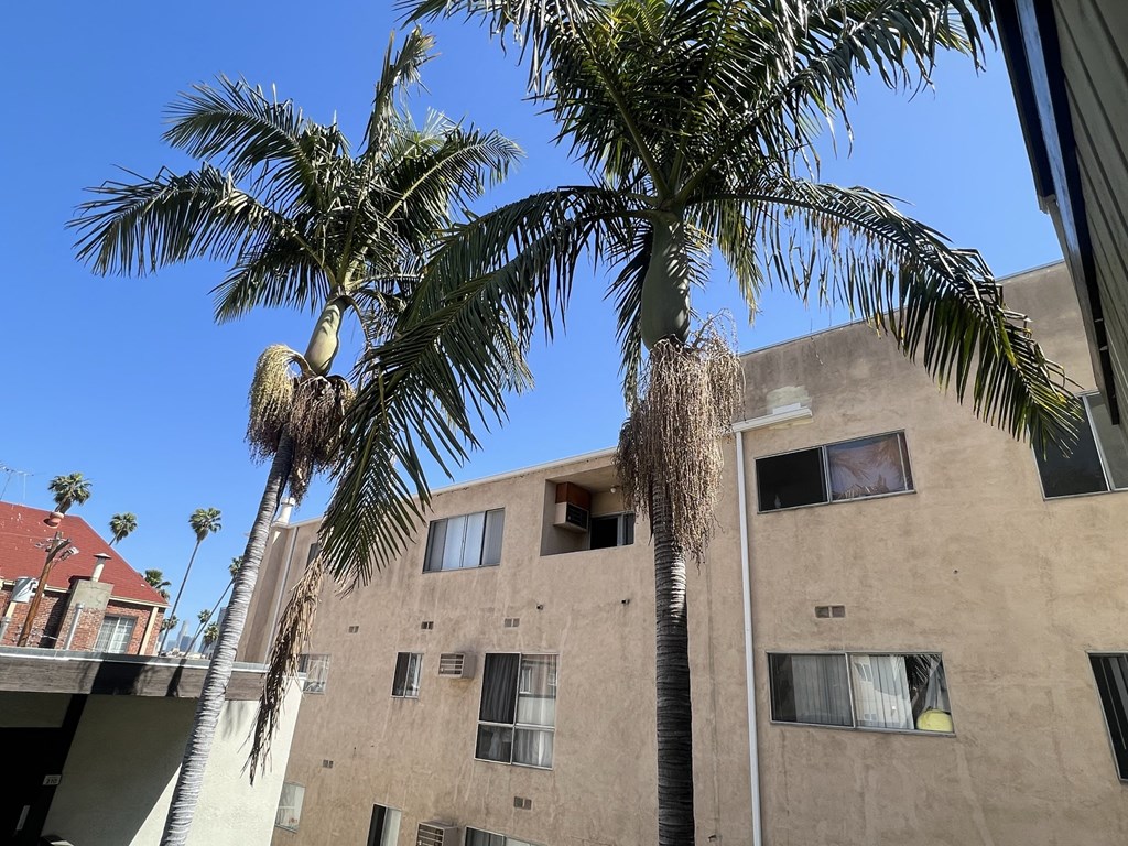 Palm trees located in courtyard from second floor  at Parc Meridien, California, 90020