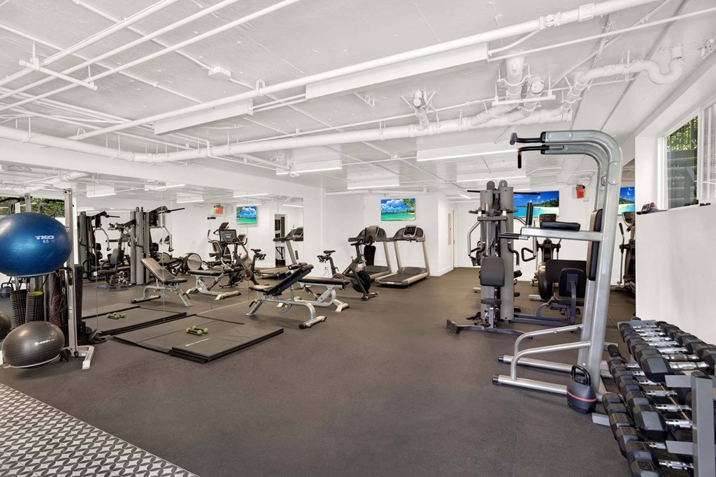 A gym with a variety of equipment including a treadmill, weights, and a balance ball.